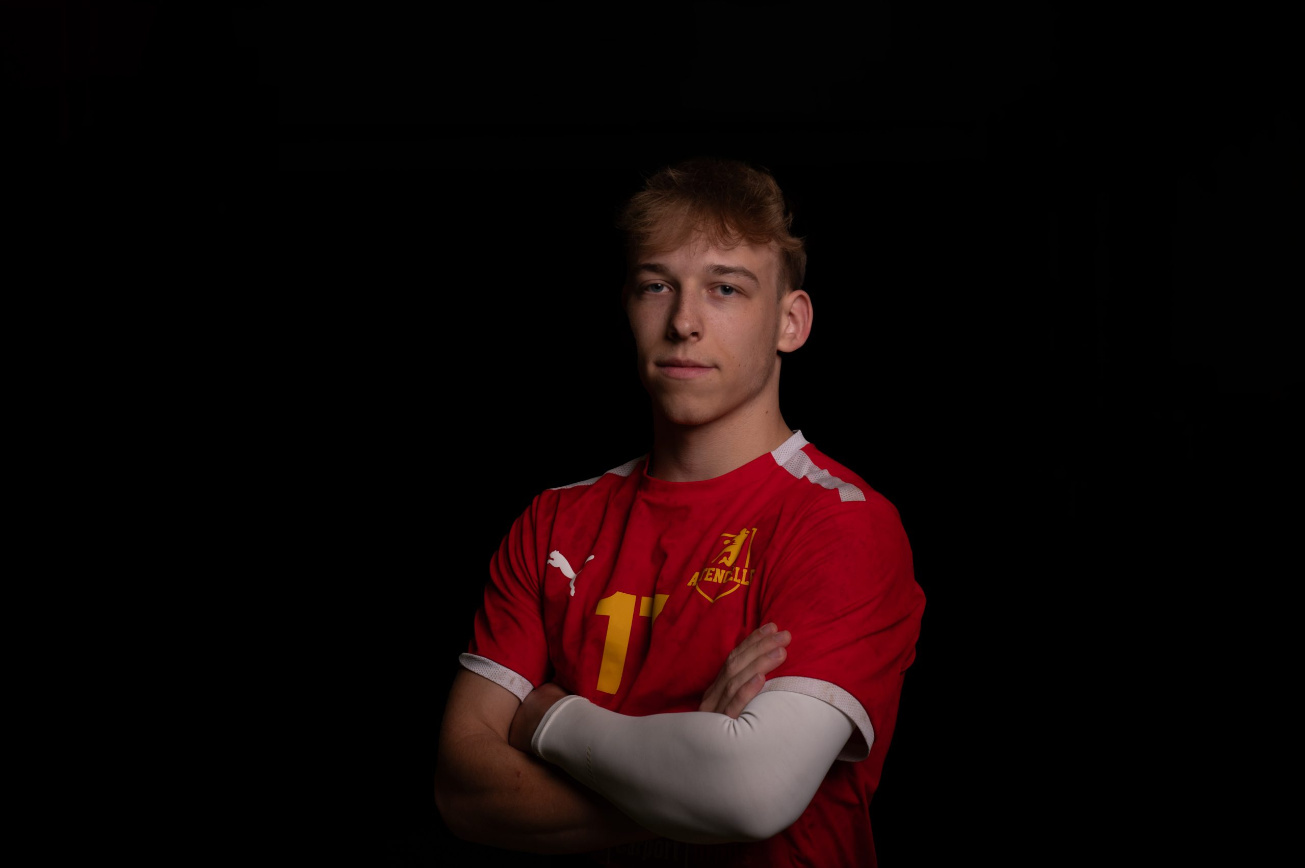 SV Altencelle, Handball, 1. Herren, Portrait